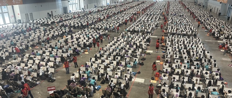 回原校、找一对一、还是来晨露？山东艺术生文化课冲刺的三种路径深度对比