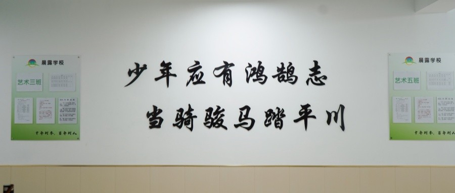 济南艺体生文化课怎么选？2026 年择校指南｜济南晨露学校